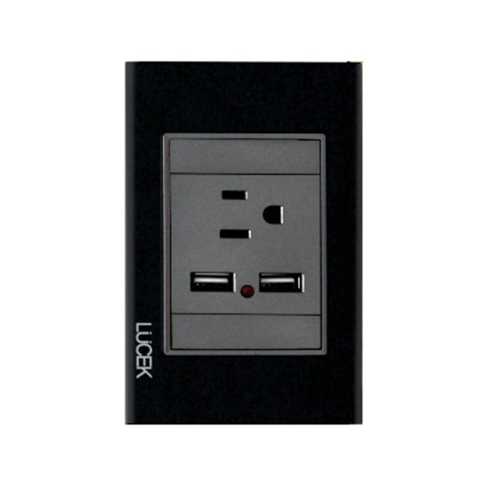 Placa cristal con 1 contacto y 2 entradas USB BP05CNN - LUCEK